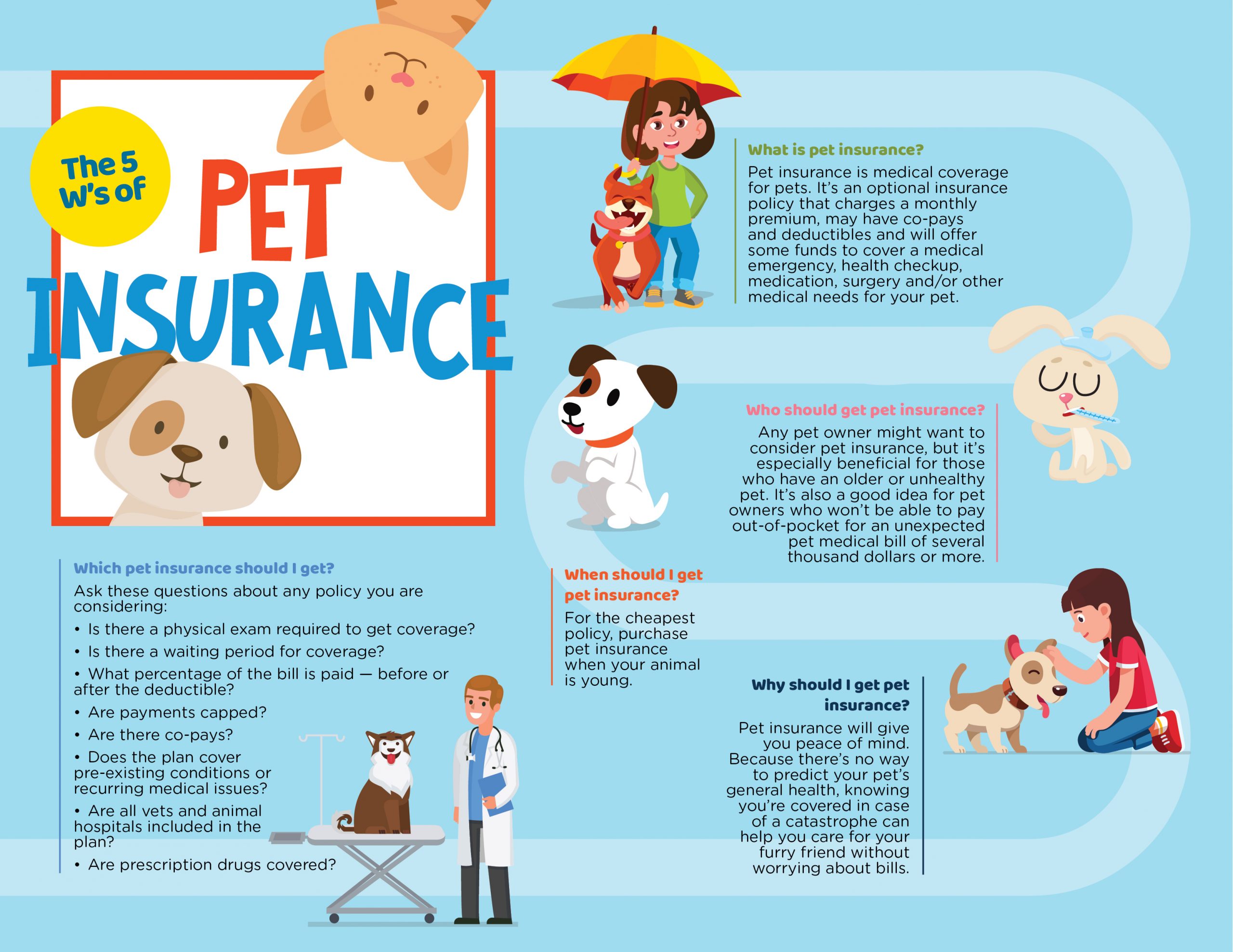 Pet insurance plans for dogs